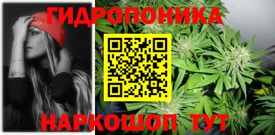apvp Обнинск