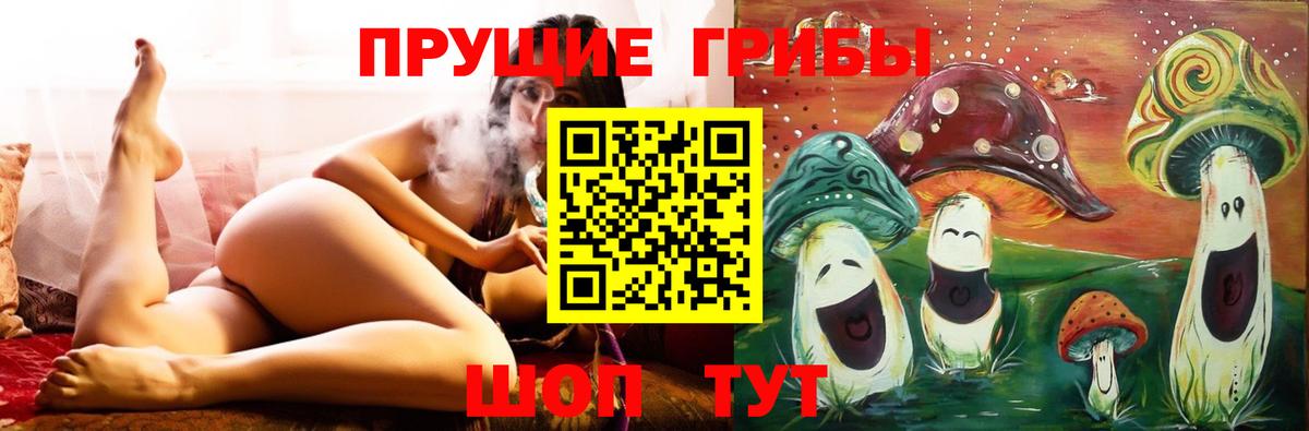 Галлюциногенные грибы Psilocybe Торжок