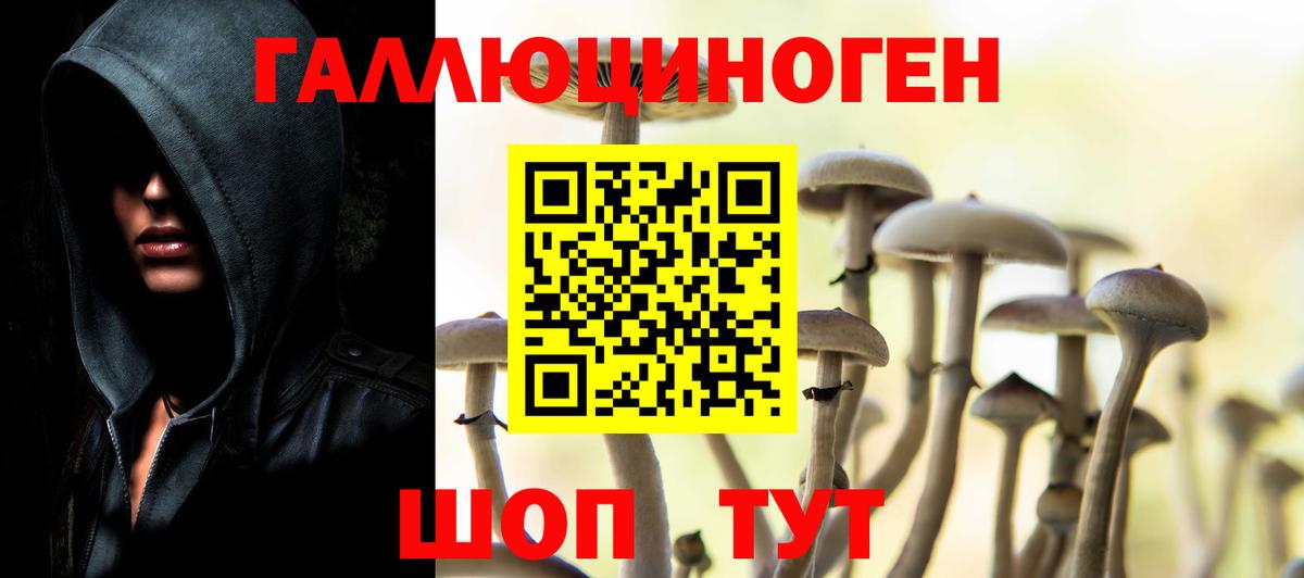 купить наркотики цена  Галлюциногенные грибы MAGIC MUSHROOMS  Вход с VPN  Торжок 